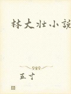 林大壮小说阅读