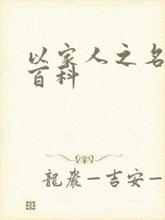以家人之名百度百科