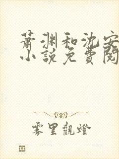 萧渊和沈安安的小说免费阅读