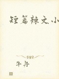 短篇辣文小说