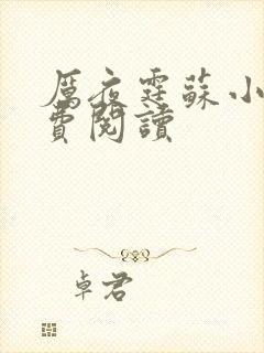 厉夜霆苏小汐免费阅读