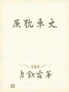 原耽车文