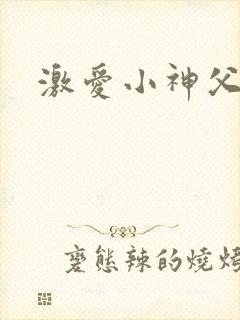激爱小神父