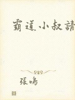 霸道小叔请轻撩