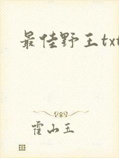 最佳野王txt