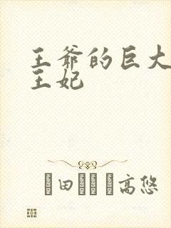 王爷的巨大进入王妃