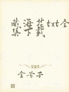 藏海花txt全集下载