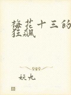 梅花十三的乳液狂飙