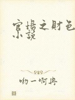 官场之财色诱人小说