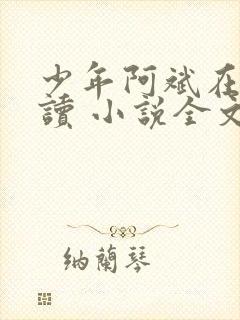 少年阿斌在线阅读 小说全文免费