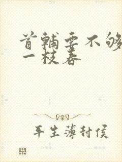 首辅要不够po一枝春