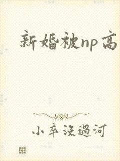 新婚被np高h