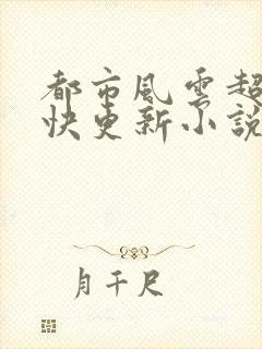 都市风云超前超快更新小说