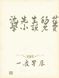 沈先生的花式教学小说免费