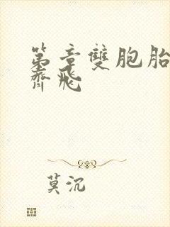 第章双胞胎姐妹齐飞