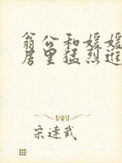 翁公和媛媛在厨房里猛烈进出