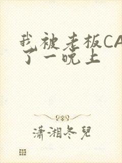 我被老板CAO了一晚上