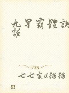 九星霸体诀 小说