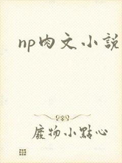 np肉文小说