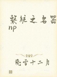 系统之名器攻略np