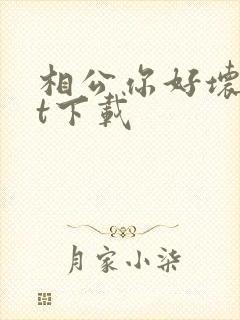 相公你好坏txt下载