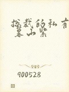 总裁的私有宝贝 暮山紫