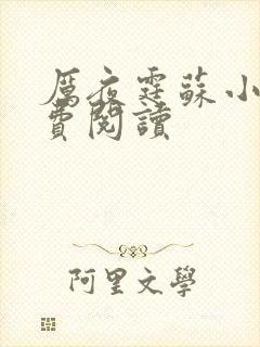 厉夜霆苏小汐免费阅读