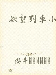 欲望列车小说