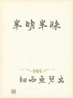半明半昧