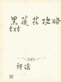黑莲花攻略手册txt