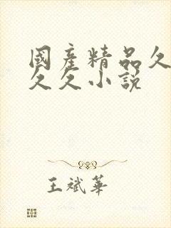 国产精品久久久久久小说