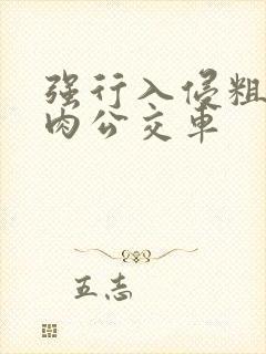 强行入侵粗暴h肉公交车