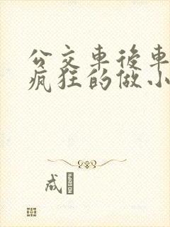 公交车后车座的疯狂的做小