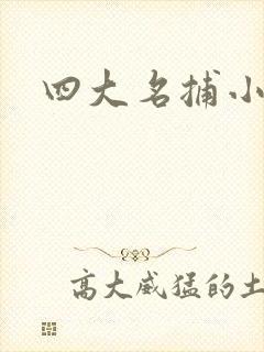 四大名捕小说