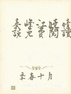 秦峰江晓晴的小说免费阅读