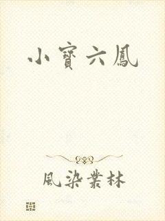小宝六凤