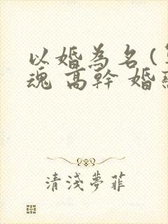 以婚为名 (军魂 高干 婚恋)