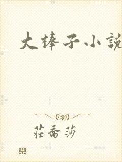 大棒子小说