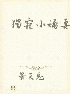 独宠小娇妻