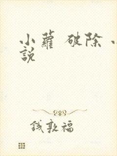 小萝 破除 小说