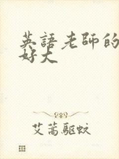 英语老师的兔子好大