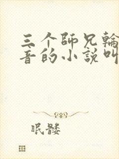 三个师兄轮流上音的小说叫什么