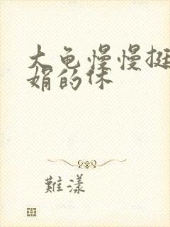 大龟慢慢挺进张娟的休