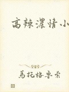 高辣浓情小说