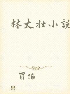 林大壮小说阅读