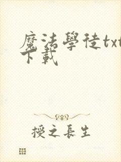 魔法学徒txt下载