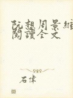 阮想周景维免费阅读全文