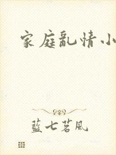 家庭乱情小说