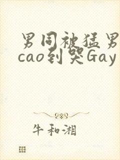 男同被猛男房东cao到哭Gay