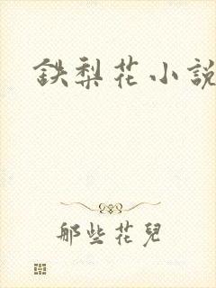 铁梨花小说